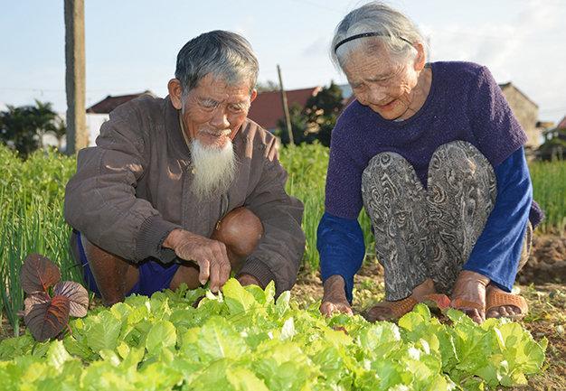 Green House Homestay Hoi An Bagian luar foto