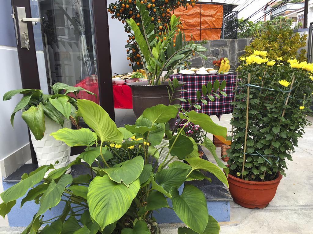 Green House Homestay Hoi An Bagian luar foto