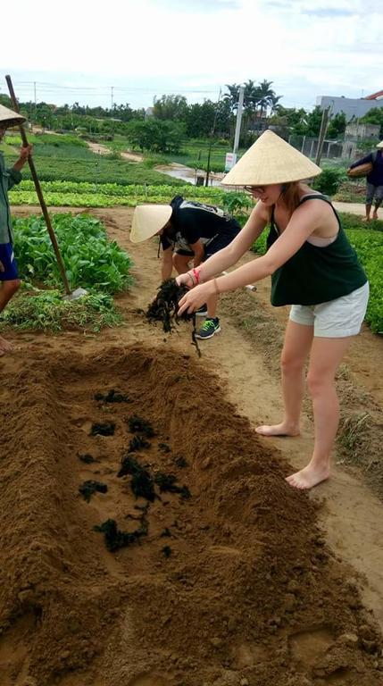 Green House Homestay Hoi An Bagian luar foto